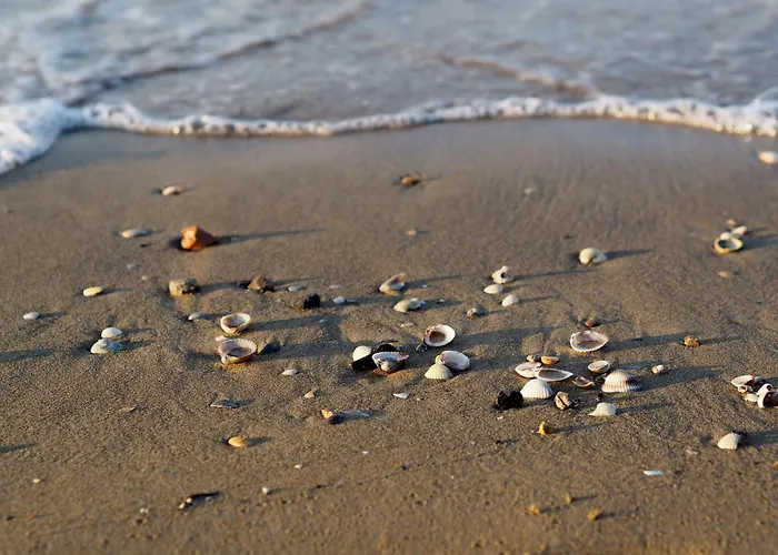 Your Garden Heaven In The Heart Of Lido Dei Pini * 比比翁