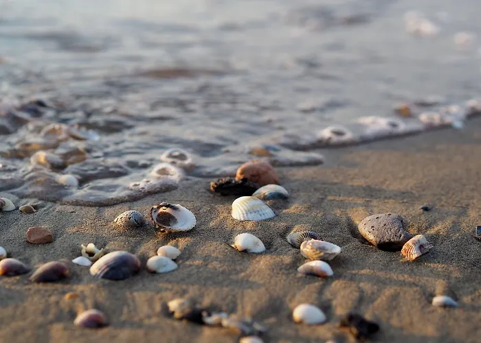 公寓 Your Garden Heaven In The Heart Of Lido Dei Pini 比比翁