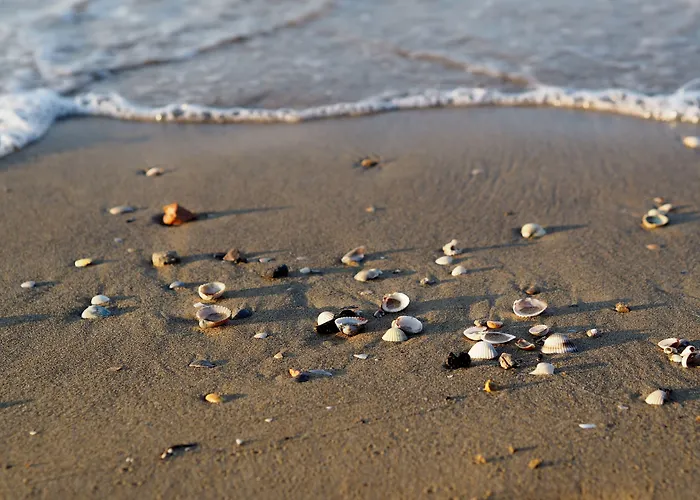 Appartamento Your Garden Heaven In The Heart Of Lido Dei Pini *